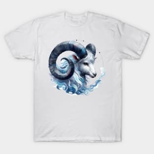 Aries T-Shirt